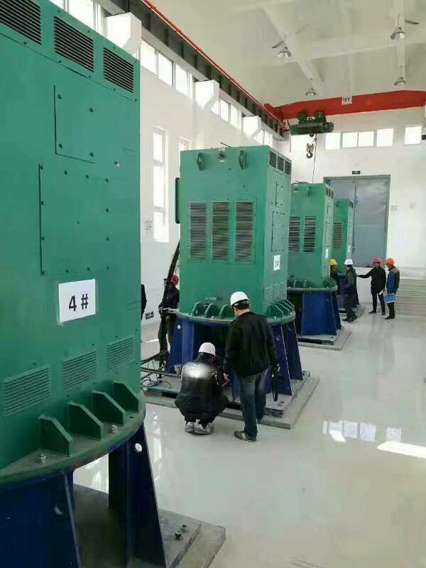 志仲镇某污水处理厂使用我厂的立式高压电机安装现场